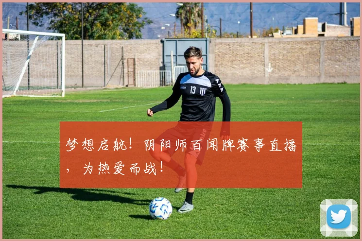 梦想启航！阴阳师百闻牌赛事直播，为热爱而战！