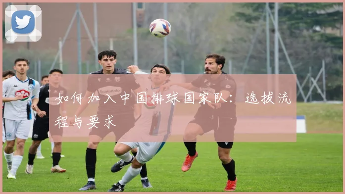 如何加入中国排球国家队：选拔流程与要求